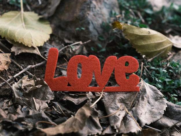 Letras de amor decorativas rojas en las hojas.