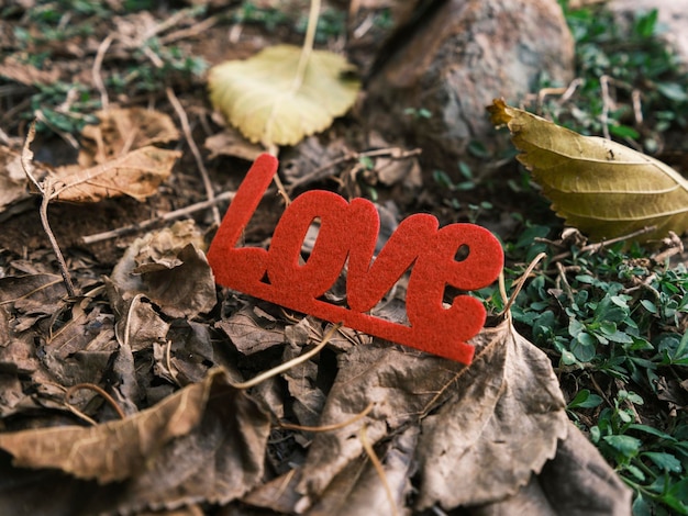 Letras de amor decorativas rojas en las hojas.