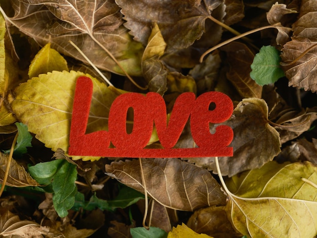 Letras de amor decorativas rojas en las hojas.