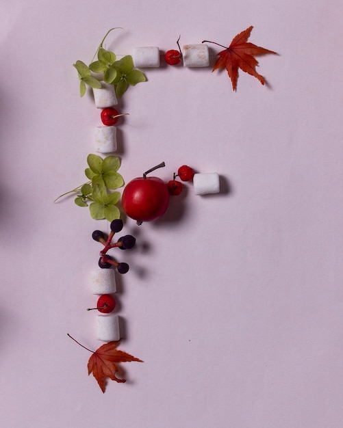 letras botánicas alfabeto de otoño