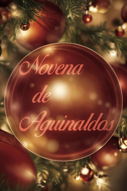 Foto letras da novena de aguinaldos