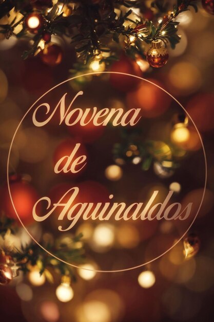 Letras da novena de aguinaldos