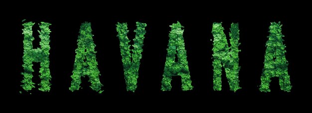 Letras de Havana Conceito de ecologia da floresta de Havana