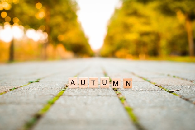 Letras de madeira no beco de outono. palavra outono nas lajes de pavimentação. laranjeiras de fundo