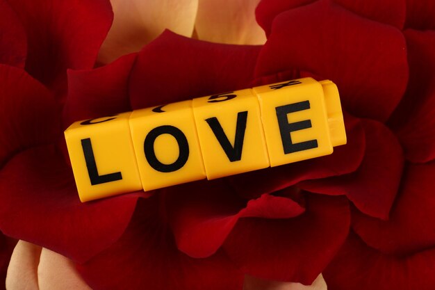 Letras decorativas que forman la palabra AMOR en pétalos de fondo de rosas