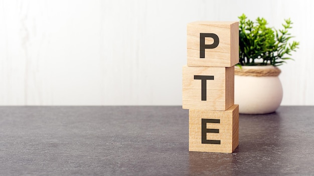 Letras do alfabeto de pte na planta verde de cubos de madeira em um fundo branco