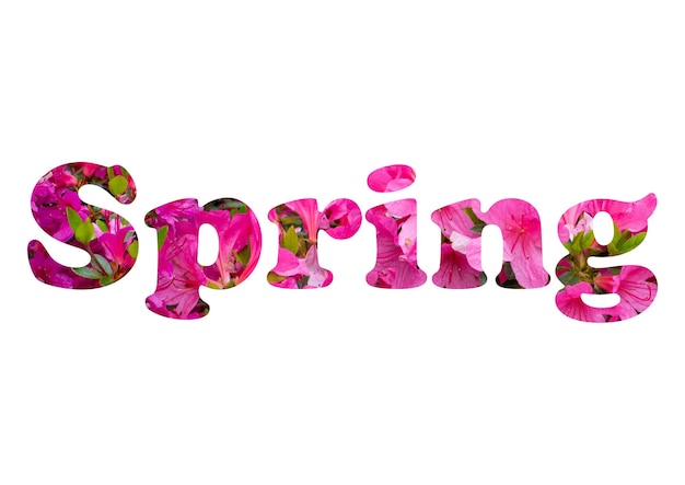 Letras florais de primavera feitas de flores cor-de-rosa e azuis isoladas em fundo branco