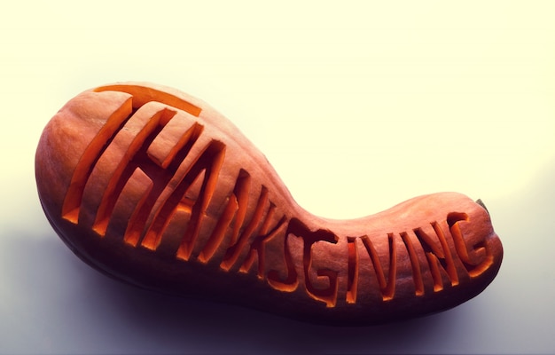 Letras de palabras de acción de gracias en una calabaza