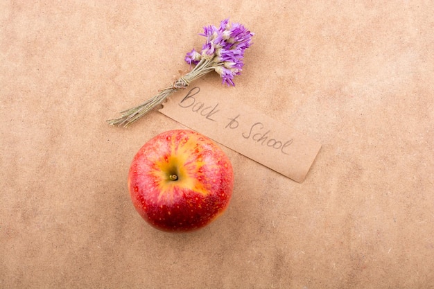 Letras de regreso a la escuela con manzana y flor.