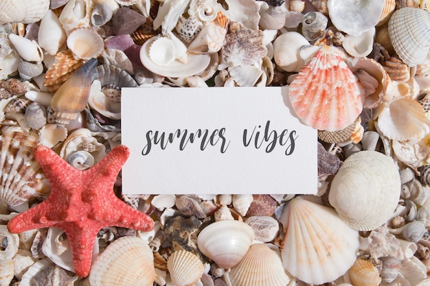 Letras de vibraciones de verano en una hoja de papel sobre conchas marinas y estrellas de mar texto creativo de verano plano