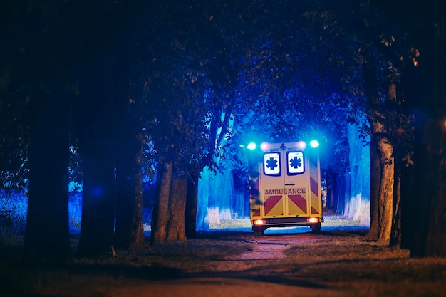 Letrero de información en la carretera contra los árboles por la noche