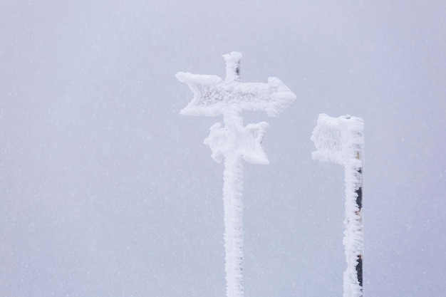 Foto letreros cubiertos de nieve contra un cielo despejado