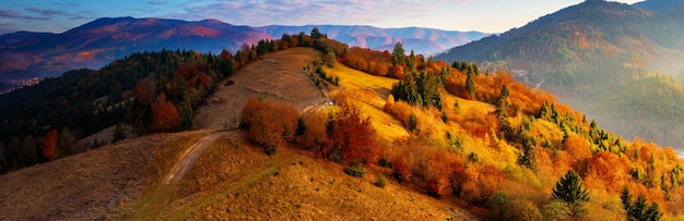 Leuchtend bunter Herbstwald und Wiese im Morgengrauen Drohnenansicht