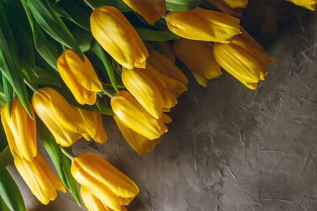 Leuchtend gelbe Tulpen auf grauem Betonhintergrund. Draufsicht, flach liegen. Speicherplatz kopieren