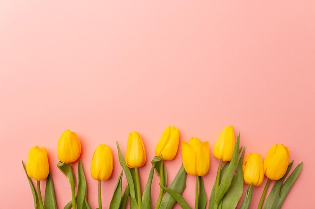 Leuchtend gelbe Tulpen auf rosa Hintergrund kopieren Platz für Text Das Konzept der Zärtlichkeit des Liebesfrühlings