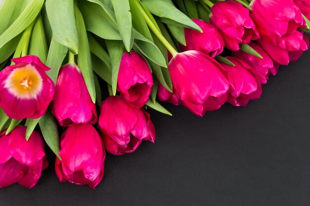 leuchtend rosa Tulpen liegen auf einem schwarzen Hintergrund, blumiger Hintergrund für Postkarten