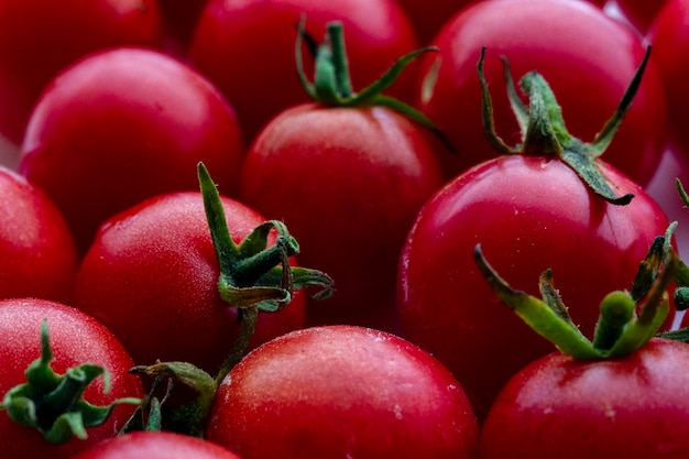 Leuchtend rote saftige Kirschtomaten flach liegen