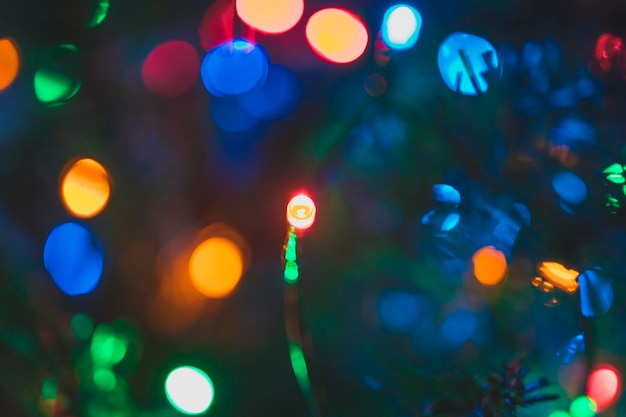 Leuchtende bunte Weihnachtsbeleuchtung am Baum