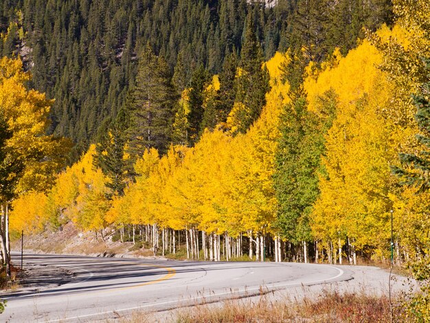 Leuchtende Herbstfarben schmücken eine Landstraße in Colorado.