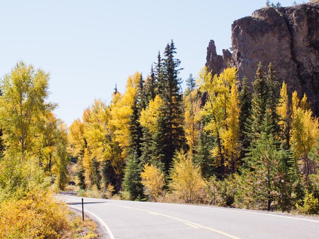 Leuchtende Herbstfarben schmücken eine Landstraße in Colorado.