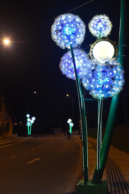 leuchtender Löwenzahn in der Da Lat Straße bei Nacht, um die Stadt auf das Blumenfest vorzubereiten