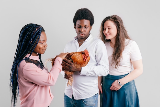 Leute, die Huhn in den Händen halten