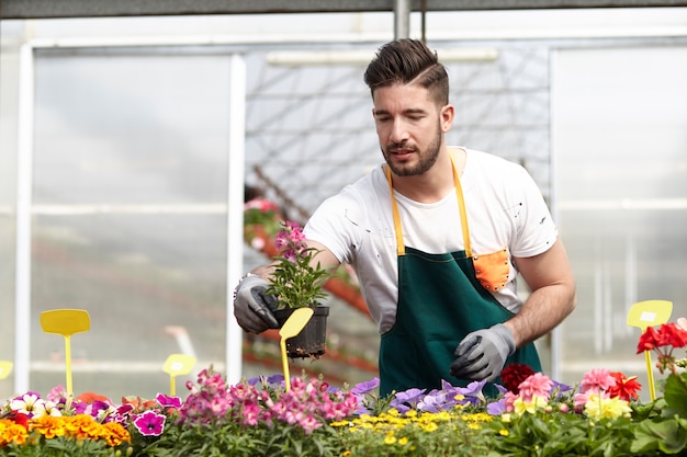 Leute, die in einem Gartenladen arbeiten