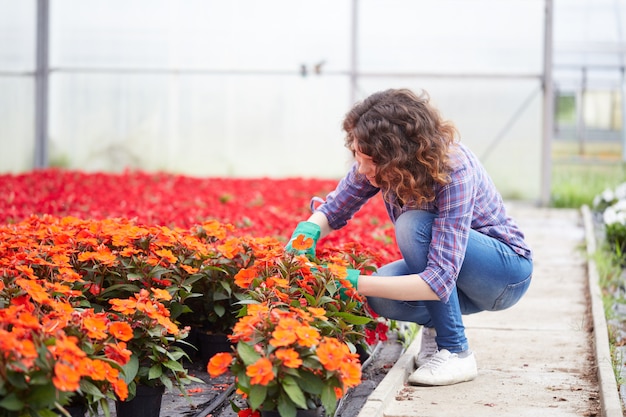 Leute, die in einem Gartenladen arbeiten