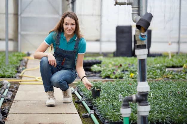 Leute, die in einem Gartenspeicher arbeiten