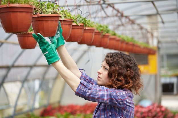 Leute, die in einem Gartenspeicher arbeiten