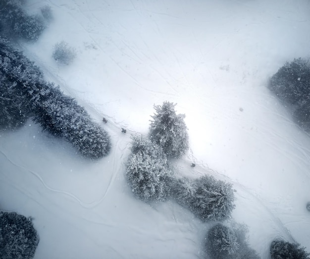 Leute in der Draufsicht des Winterwaldes