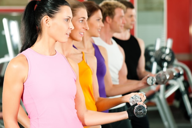 Leute in der Turnhalle oder im Fitnessclub zusammen trainieren mit Dummköpfen