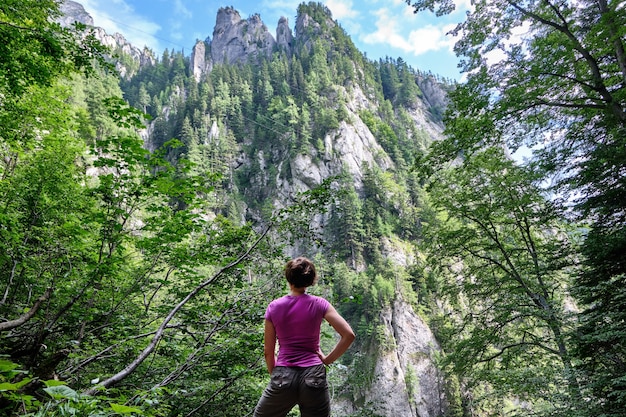 Leute, welche die Berge im Wald schauen