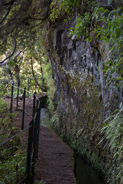 Levada de Caldeirao Verde