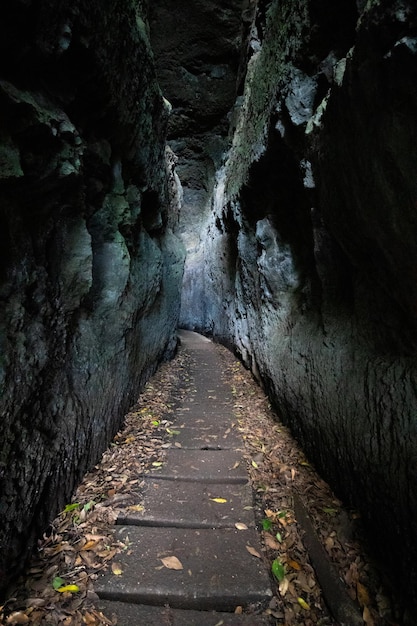 Levada-Wanderung auf Madeira