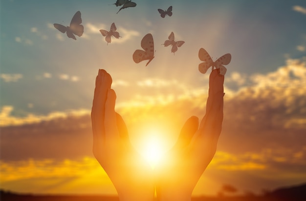 Levantando manos humanas y mariposas en el fondo del atardecer