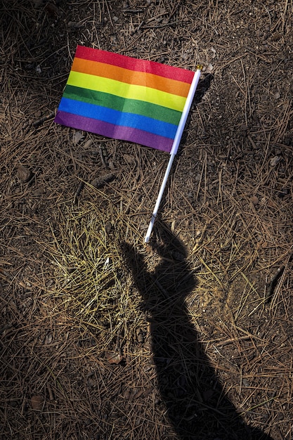 LGBT-Flagge im Feld. Stolz. Freiheitskonzept