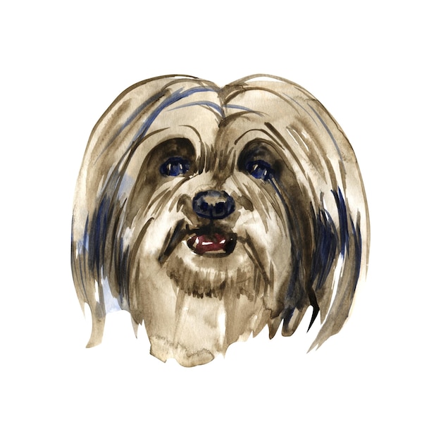 Lhasa apso cão aquarela isolado pintado à mão