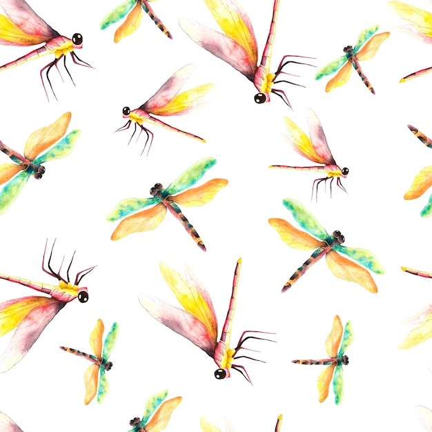 libélulas Acuarela de patrones sin fisuras con libélulas sobre un fondo blanco.