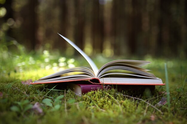 Libro abierto al aire libre. El conocimiento es poder. Libro en un bosque. Libro sobre un tocón