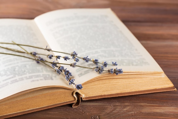 Libro abierto con flores de lavanda en la mesa de madera educación aprendizaje estudio cultura