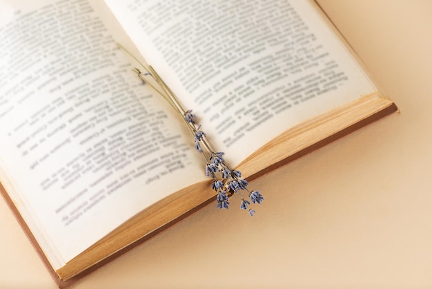 Libro abierto con flores de lavanda sobre estudio de aprendizaje de educación de fondo beige