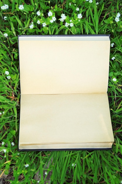 Libro abierto sobre fondo de hierba verde