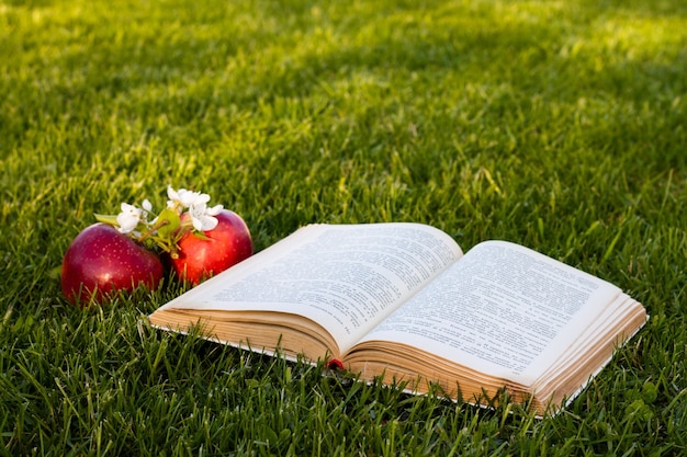 Libro abierto sobre la hierba verde con manzanas rojas frescas y una flor de pera.