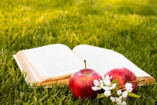 Libro abierto sobre la hierba verde con manzanas rojas frescas y una flor de pera.