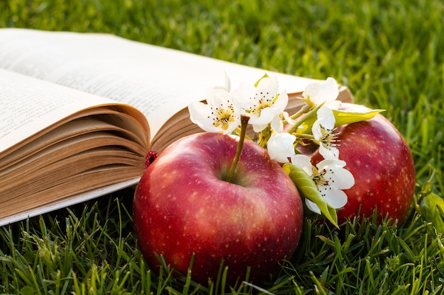 Libro abierto sobre la hierba verde con manzanas rojas frescas y flores de pera