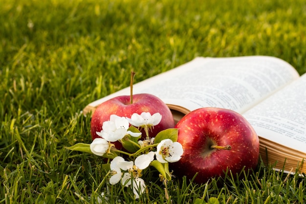 Libro abierto sobre la hierba verde con manzanas rojas frescas y flores de pera