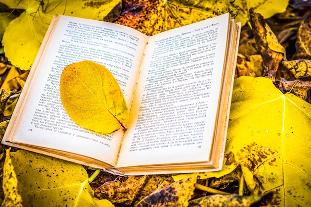 Foto libro antiguo en hojas de otoño