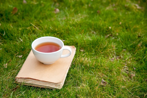 Libro antiguo con taza de té sobre la hierba verde