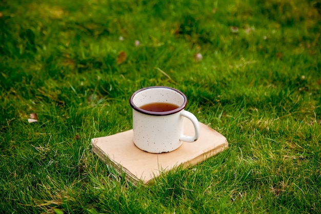 Libro antiguo con taza de té sobre la hierba verde